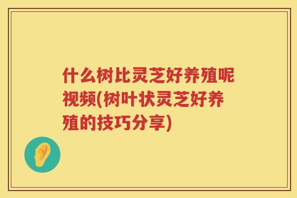 什么树比灵芝好养殖呢视频(树叶状灵芝好养殖的技巧分享) 什么树比灵芝好养殖呢视频(树叶状灵芝好养殖的技巧分享)