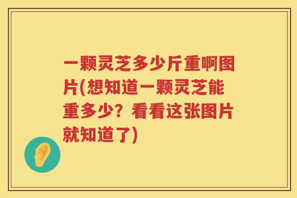 一颗灵芝多少斤重啊图片(想知道一颗灵芝能重多少？看看这张图片就知道了)