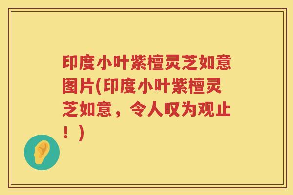 印度小叶紫檀灵芝如意图片(印度小叶紫檀灵芝如意,令人叹为观止!) 印度小叶紫檀灵芝如意图片(印度小叶紫檀灵芝如意,令人叹为观止!)