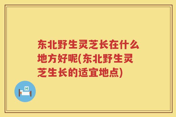 东北野生灵芝长在什么地方好呢(东北野生灵芝生长的适宜地点)