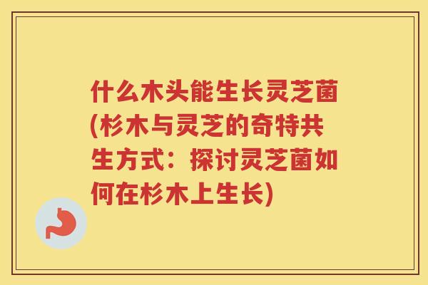 什么木头能生长灵芝菌(杉木与灵芝的奇特共生方式:探讨灵芝菌如何在杉木上生长) 什么木头能生长灵芝菌(杉木与灵芝的奇特共生方式:探讨灵芝菌如何在杉木上生长)