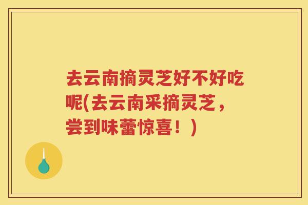 去云南摘灵芝好不好吃呢(去云南采摘灵芝，尝到味蕾惊喜！)
