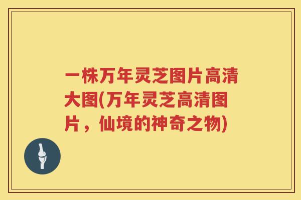 一株万年灵芝图片高清大图(万年灵芝高清图片,仙境的神奇之物) 一株万年灵芝图片高清大图(万年灵芝高清图片,仙境的神奇之物)
