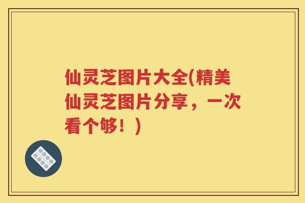 仙灵芝图片大全(精美仙灵芝图片分享，一次看个够！)
