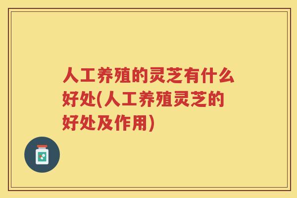 人工养殖的灵芝有什么好处(人工养殖灵芝的好处及作用)