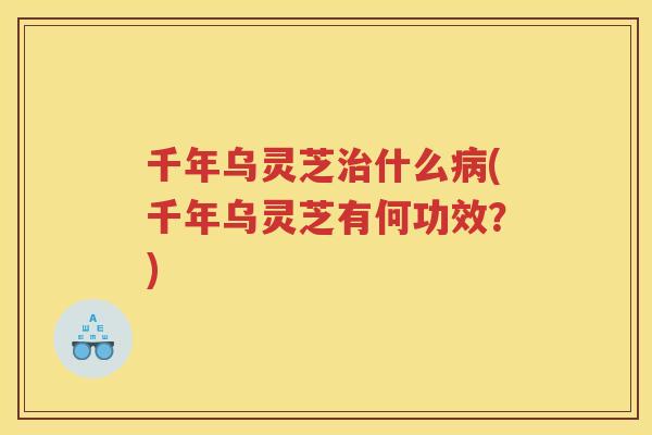 千年乌灵芝什么(千年乌灵芝有何功效？)
