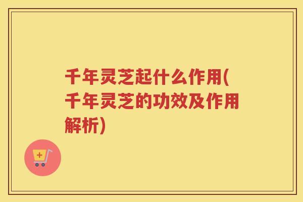 千年灵芝起什么作用(千年灵芝的功效及作用解析)