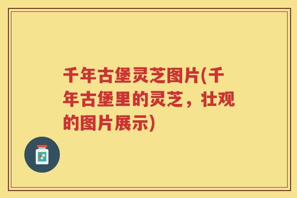 千年古堡灵芝图片(千年古堡里的灵芝,壮观的图片展示) 千年古堡灵芝图片(千年古堡里的灵芝,壮观的图片展示)