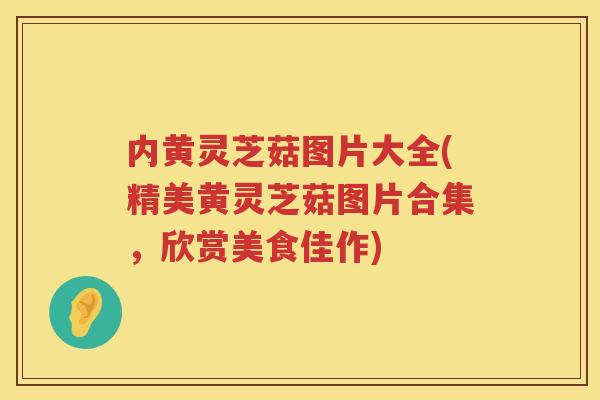 内黄灵芝菇图片大全(精美黄灵芝菇图片合集,欣赏美食佳作) 内黄灵芝菇图片大全(精美黄灵芝菇图片合集,欣赏美食佳作)