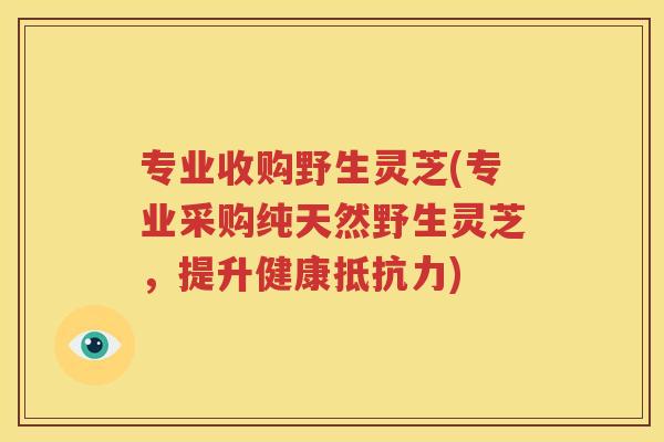 专业收购野生灵芝(专业采购纯天然野生灵芝，提升健康抵抗力)