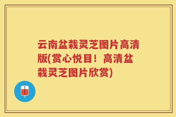 云南盆栽灵芝图片高清版(赏心悦目!高清盆栽灵芝图片欣赏) 云南盆栽灵芝图片高清版(赏心悦目!高清盆栽灵芝图片欣赏)