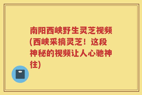 南阳西峡野生灵芝视频(西峡采摘灵芝!这段神秘的视频让人心驰神往) 南阳西峡野生灵芝视频(西峡采摘灵芝!这段神秘的视频让人心驰神往)