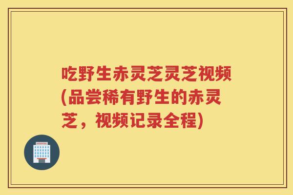 吃野生赤灵芝灵芝视频(品尝稀有野生的赤灵芝，视频记录全程)