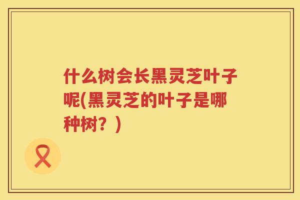 什么树会长黑灵芝叶子呢(黑灵芝的叶子是哪种树?) 什么树会长黑灵芝叶子呢(黑灵芝的叶子是哪种树?)