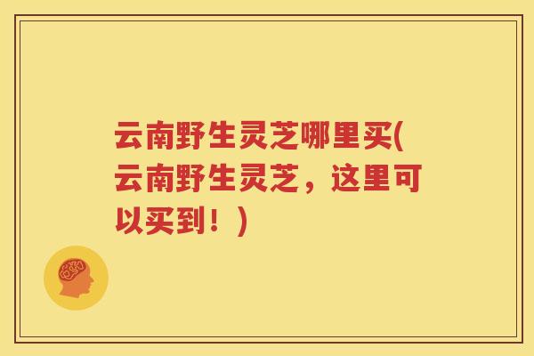 云南野生灵芝哪里买(云南野生灵芝,这里可以买到!) 云南野生灵芝哪里买(云南野生灵芝,这里可以买到!)