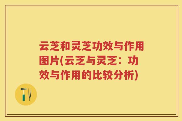 云芝和灵芝功效与作用图片(云芝与灵芝：功效与作用的比较分析)
