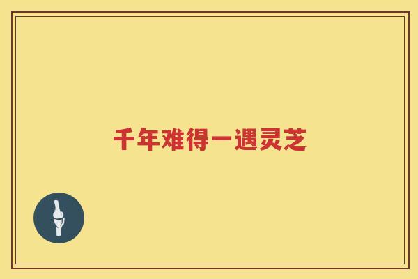 千年难得一遇灵芝