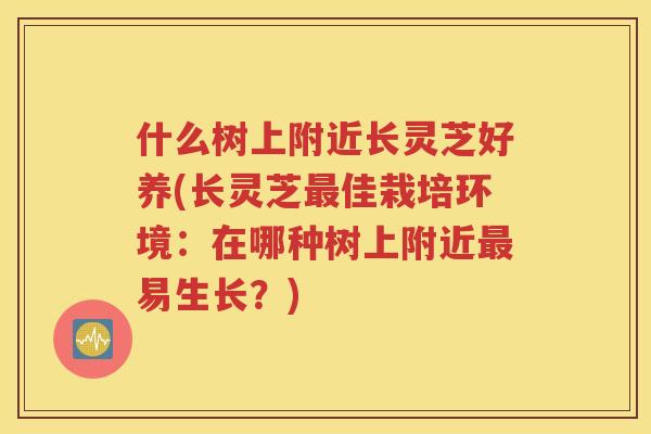 什么树上附近长灵芝好养(长灵芝佳栽培环境：在哪种树上附近易生长？)