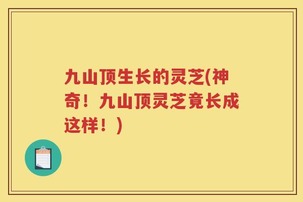 九山顶生长的灵芝(神奇！九山顶灵芝竟长成这样！)