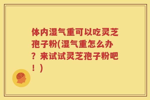 体内湿气重可以吃灵芝孢子粉(湿气重怎么办?来试试灵芝孢子粉吧!) 体内湿气重可以吃灵芝孢子粉(湿气重怎么办?来试试灵芝孢子粉吧!)