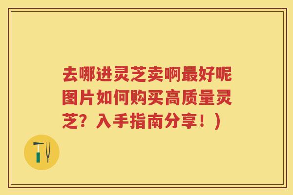 去哪进灵芝卖啊好呢图片如何购买高质量灵芝?入手指南分享!) 去哪进灵芝卖啊好呢图片如何购买高质量灵芝?入手指南分享!)