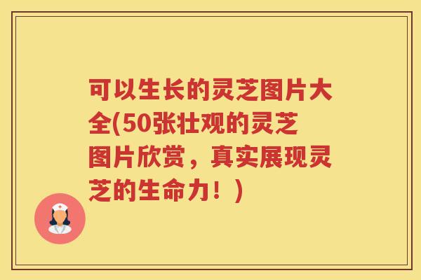 可以生长的灵芝图片大全(50张壮观的灵芝图片欣赏，真实展现灵芝的生命力！)