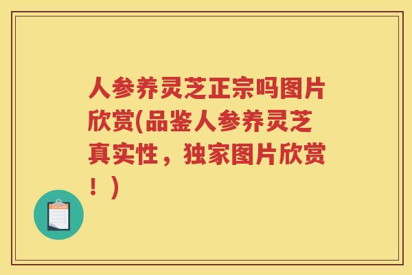 人参养灵芝正宗吗图片欣赏(品鉴人参养灵芝真实性，独家图片欣赏！)