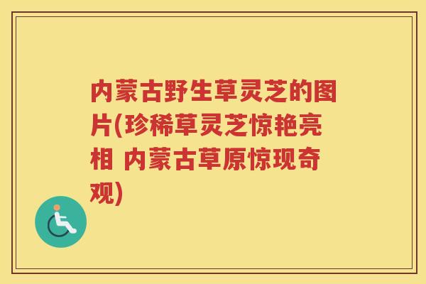 内蒙古野生草灵芝的图片(珍稀草灵芝惊艳亮相 内蒙古草原惊现奇观)