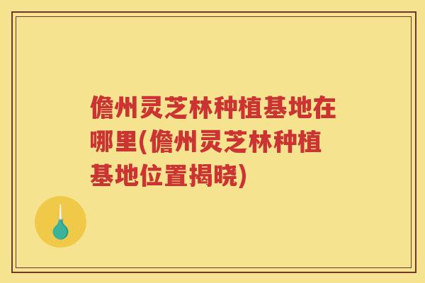 儋州灵芝林种植基地在哪里(儋州灵芝林种植基地位置揭晓)