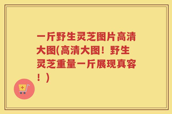 一斤野生灵芝图片高清大图(高清大图！野生灵芝重量一斤展现真容！)
