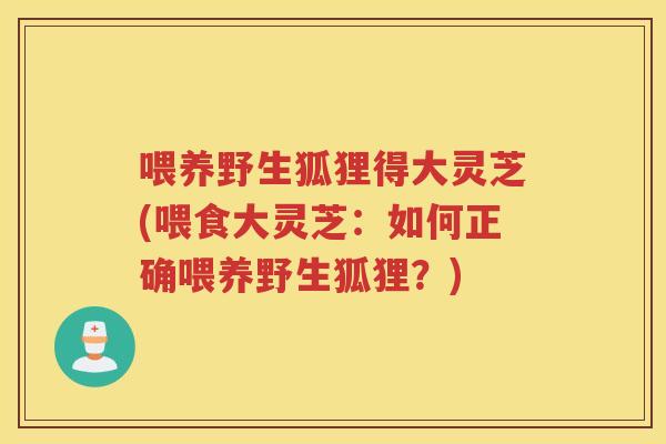 喂养野生狐狸得大灵芝(喂食大灵芝：如何正确喂养野生狐狸？)