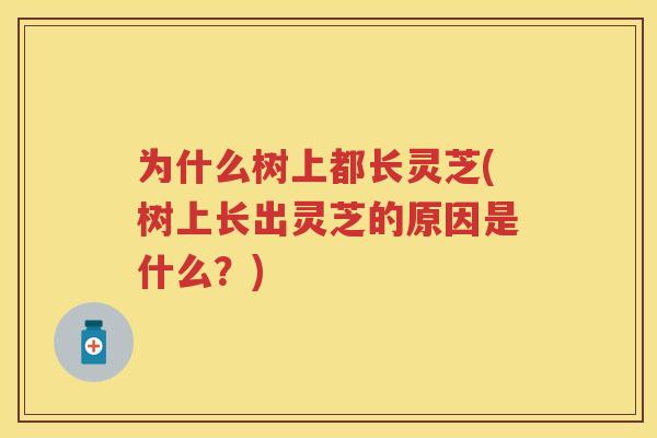 为什么树上都长灵芝(树上长出灵芝的原因是什么？)