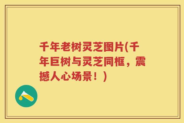 千年老树灵芝图片(千年巨树与灵芝同框，震撼人心场景！)