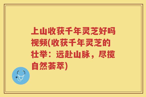 上山收获千年灵芝好吗视频(收获千年灵芝的壮举：远赴山脉，尽揽自然荟萃)