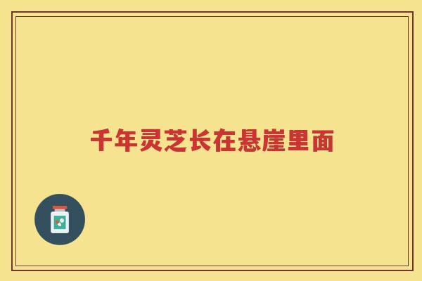 千年灵芝长在悬崖里面