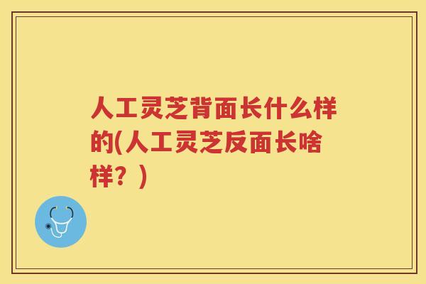 人工灵芝背面长什么样的(人工灵芝反面长啥样?) 人工灵芝背面长什么样的(人工灵芝反面长啥样?)