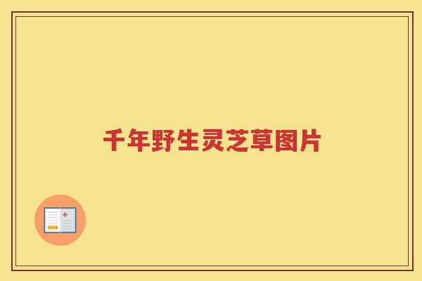 千年野生灵芝草图片