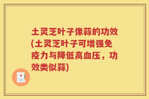土灵芝叶子像蒜的功效(土灵芝叶子可增强免疫力与降低高，功效类似蒜)