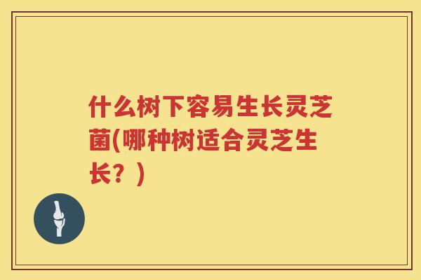 什么树下容易生长灵芝菌(哪种树适合灵芝生长?) 什么树下容易生长灵芝菌(哪种树适合灵芝生长?)