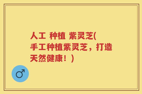 人工 种植 紫灵芝(手工种植紫灵芝,打造天然健康!) 人工 种植 紫灵芝(手工种植紫灵芝,打造天然健康!)