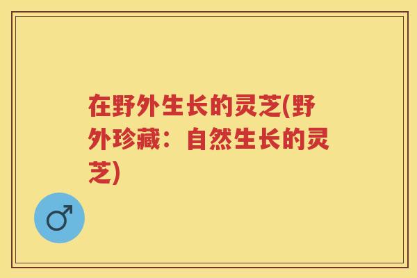 在野外生长的灵芝(野外珍藏：自然生长的灵芝)