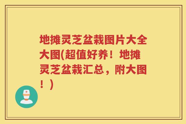 地摊灵芝盆栽图片大全大图(超值好养！地摊灵芝盆栽汇总，附大图！)