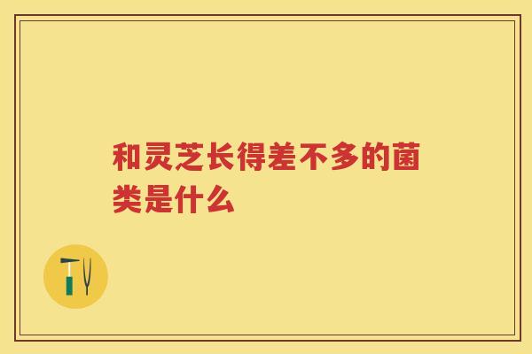 和灵芝长得差不多的菌类是什么