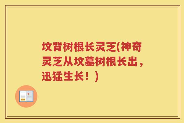 坟背树根长灵芝(神奇灵芝从坟墓树根长出，迅猛生长！)