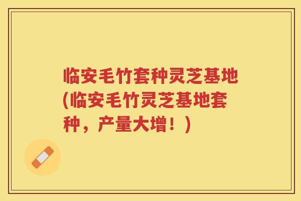临安毛竹套种灵芝基地(临安毛竹灵芝基地套种，产量大增！)
