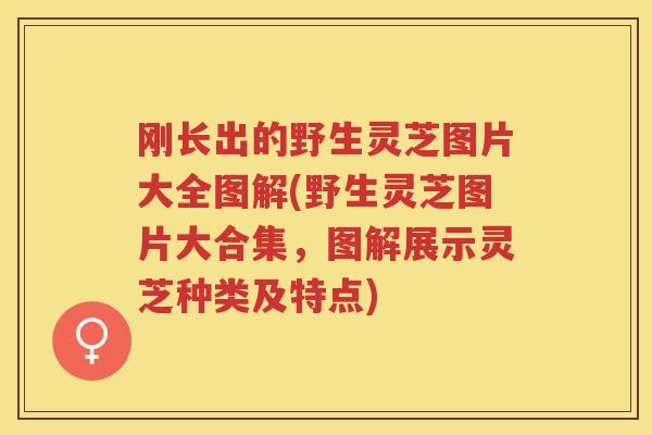 刚长出的野生灵芝图片大全图解(野生灵芝图片大合集,图解展示灵芝种类及特点) 刚长出的野生灵芝图片大全图解(野生灵芝图片大合集,图解展示灵芝种类及特点)