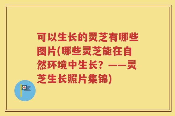 可以生长的灵芝有哪些图片(哪些灵芝能在自然环境中生长？——灵芝生长照片集锦)