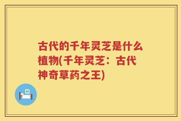 古代的千年灵芝是什么植物(千年灵芝：古代神奇草药之王)