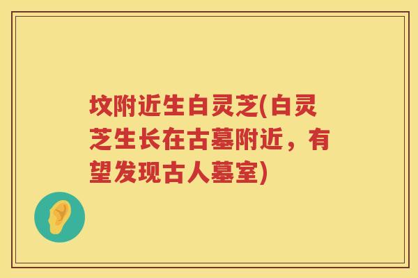 坟附近生白灵芝(白灵芝生长在古墓附近,有望发现古人墓室) 坟附近生白灵芝(白灵芝生长在古墓附近,有望发现古人墓室)