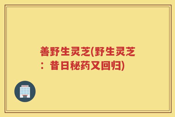 善野生灵芝(野生灵芝：昔日秘药又回归)